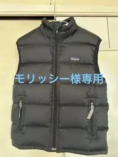 2026年最新】パタゴニア ダウンベスト レディースの人気アイテム