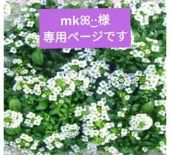 専用ページです