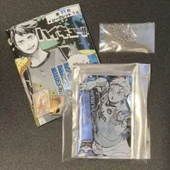 2025年最新】ハイキュー 及川の全員倒すドミノ風アクリル