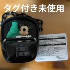 タグ付　ディズニー スーベニア　スナックケース　ホーンテッドマンション　ミッキー