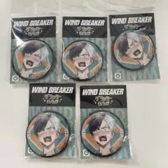 671 WIND BREAKER グリッター缶バッジ 5個セット