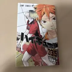 ハイキュー!! 33.5巻 音駒番外編