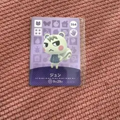 あつ森 amiiboカード ジュン おまけ付き - メルカリ