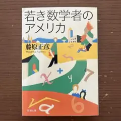 若き数学者のアメリカ