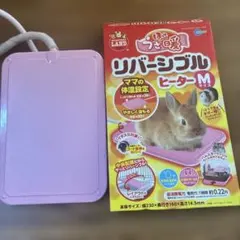 Item thumbnail for item e9858e52-dd41-4828-9567-6fa60e51a199