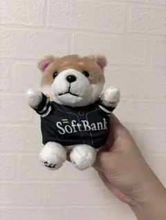 値下げしました‼️ソフトバンクホークス 犬型ぬいぐるみ 約15cmのサムネイル