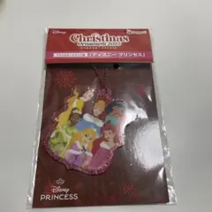 Disney Princess Christmas Ornament 2025