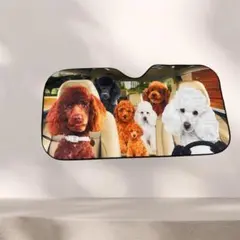 Item thumbnail for item ed260aaa-727f-401d-8536-f600e3bb7564