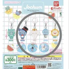 JOCHUM めじるしアクセサリー1 セミコンプセット