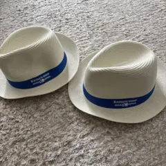 Item thumbnail for item a808bbd2-844f-43f6-84e2-0a292207bd18