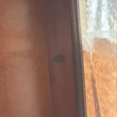 飾り棚