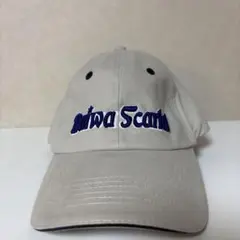 Daiwa Scarletグレーキャップ