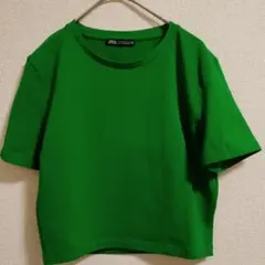 ZARA 半袖Tシャツ グリーン M ショウトタケのサムネイル