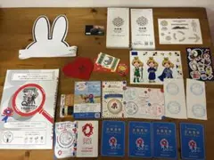 Item thumbnail for item 6542ecb2-aab0-4ad7-bc19-a1ddf756b3e0