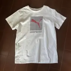 プーマPUMA グラフィックプリント 白半袖Tシャツ 150