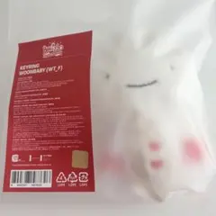 BOYNEXTDOOR プネクド ぬいぐるみ キーリング ID付き ウナク