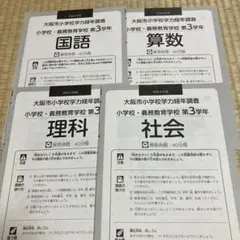 大阪市小学校学力調査 第3学年のサムネイル