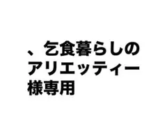 、乞食暮らしのアリエッティー様 リクエスト 2点 まとめ商品
