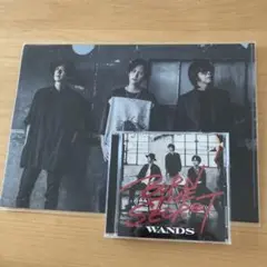 WANDS BURN THE SECRET CD クリアファイル付