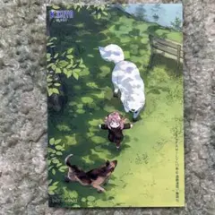 スパイファミリー　15巻　喜久屋書店　特典　イラストカード　SPY×FAMILY