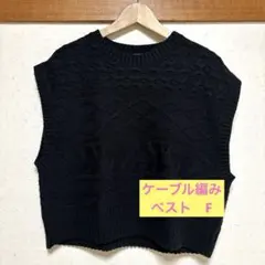 【美品】レディースニットベスト