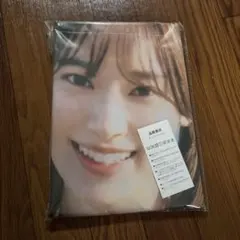 白井日菜子 ガストカレンダー2017同梱特典B2タペストリー単品 - メルカリ