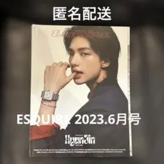StrayKids スキズ ESQUIRE ヒョンジン 表紙 雑誌 - メルカリ