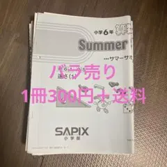 2026年最新】サピックス 夏期講習 6年の人気アイテム - メルカリ
