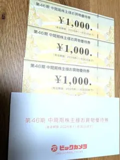 ビックカメラ 株主優待券 3000円分のサムネイル