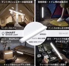 Item thumbnail for item 95ec3e1e-078f-44cb-8e46-45119f4fdb2e