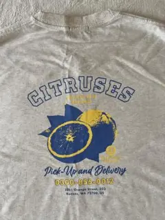 ＰＡＧＥＢＯＹＬＩＭ　Ｔシャツ　新品