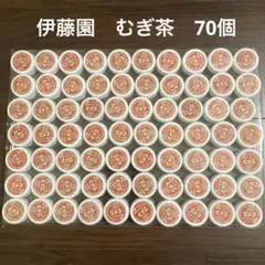 ペットボトルキャップ　同一　白　茶　70個