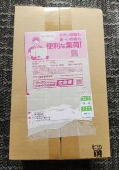 ポケカ ヒロシマbox 1box (未開封 シュリンク付き )