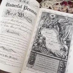 美しいデザイン洋書　カリグラフィー　レタリング　装飾写本　アルファベットデザイン