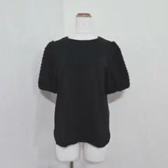 組曲 シャギー袖 パフスリーブ 半袖カットソー パール（2）ブラック