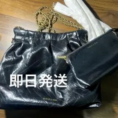 CHARLES & KEITH ブラックショルダーバッグ 付属品全て付