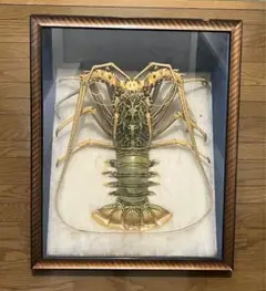 伊勢海老　海老　縁起物　置物