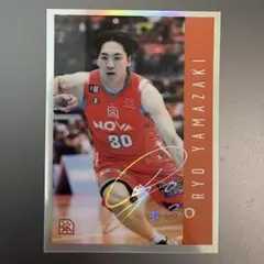 忠*様 NECレッドロケッツ大工園彩夏選手直筆サイン入りほっともっと