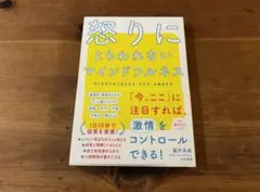 怒りにとらわれないマインドフルネス 藤井英雄