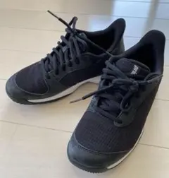 Item thumbnail for item 3983c317-1ad6-4fea-aba9-9cfcb419b52b