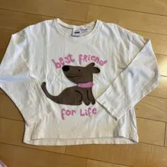 ZARA 長袖カットソー 5-6歳 116cm