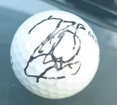(JLPGA)安田祐香プロ　直筆サインボール