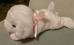 Item thumbnail for item a1c36e2b-03aa-415d-9e71-b8911c24c2fc