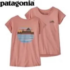 美品 patagonia パタゴニア オーガニックコットン Tシャツ S 7-8