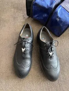 Mizuno ゴルフシューズ スパイク 26.0cm ブラック 革風 美品