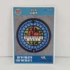 新潟県 長岡市 記念カード マンホールカード 初期ロット F001 長岡花火 