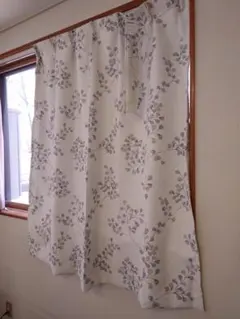 Item thumbnail for item 1037b1cd-0947-4621-bcdf-0f27236e2d47