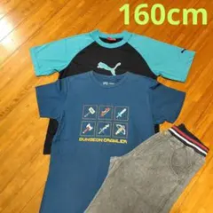 男の子　半袖と半ズボン ３点セット160cm