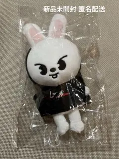 【新品未開封】Stray Kids SKZOO Leebit MINI ぬい