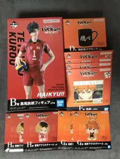 ハイキュー　一番くじ　B賞　D賞